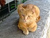 DSCF7528.JPG