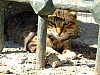DSCF7534.JPG