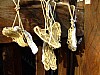 DSCF6206.JPG