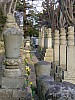 DSCF6222.JPG