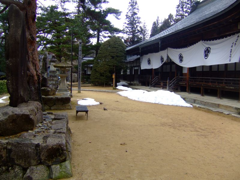 DSCF6389.JPG