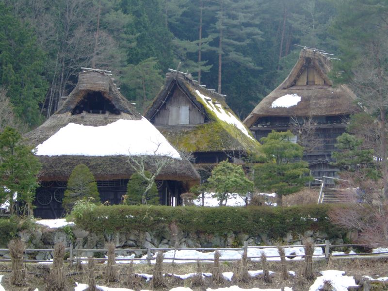 DSCF6431.JPG
