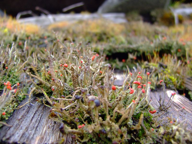 DSCF6448.JPG
