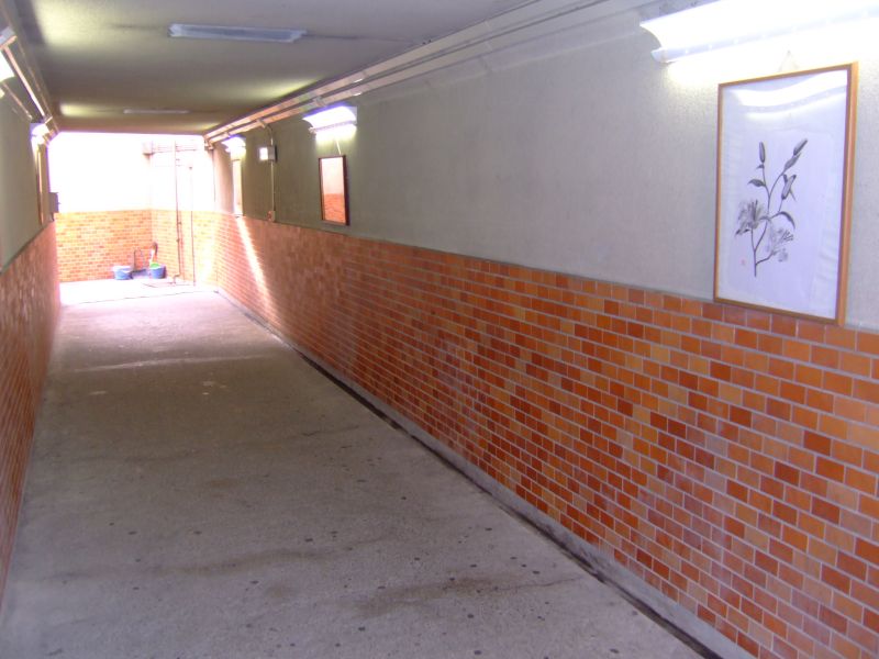 DSCF6457.JPG