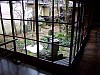 DSCF6399.JPG