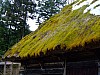 DSCF6443.JPG