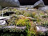 DSCF6449.JPG