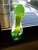 DSCF6466.JPG