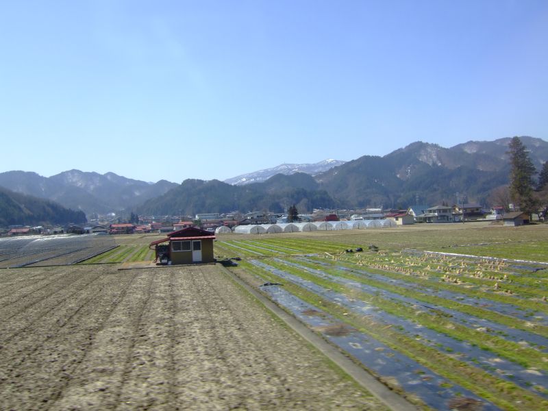 DSCF6476.JPG