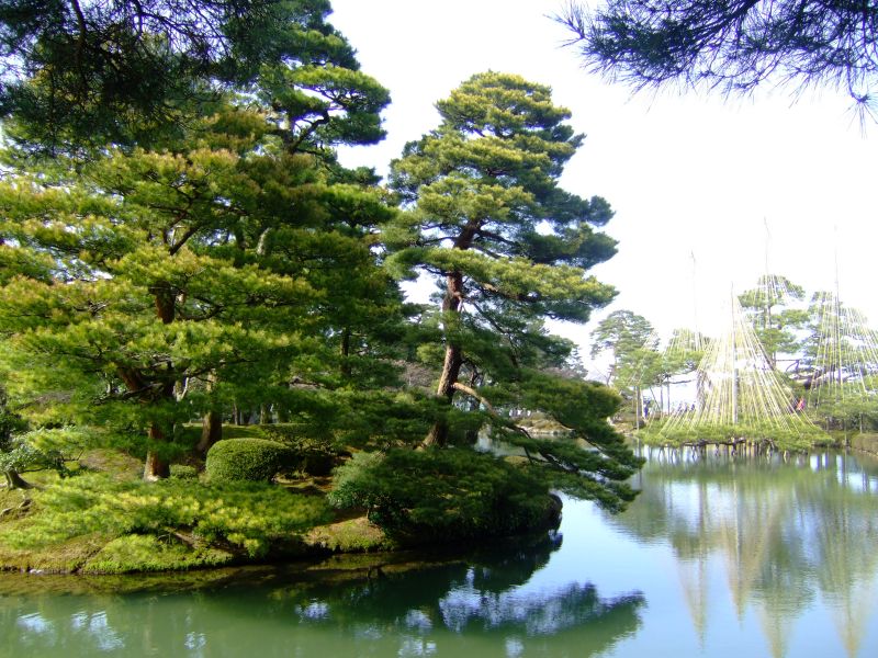 DSCF6501.JPG