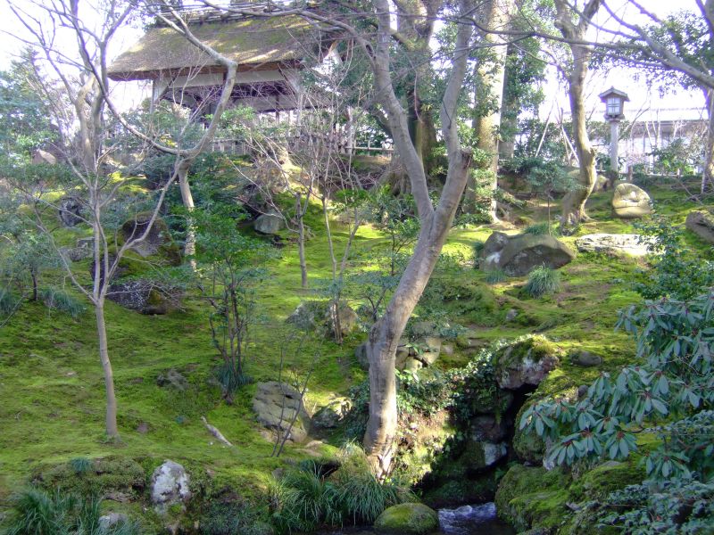 DSCF6505.JPG