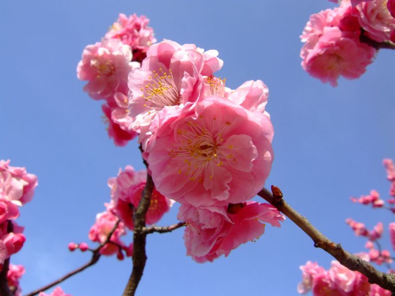 DSCF6507.JPG
