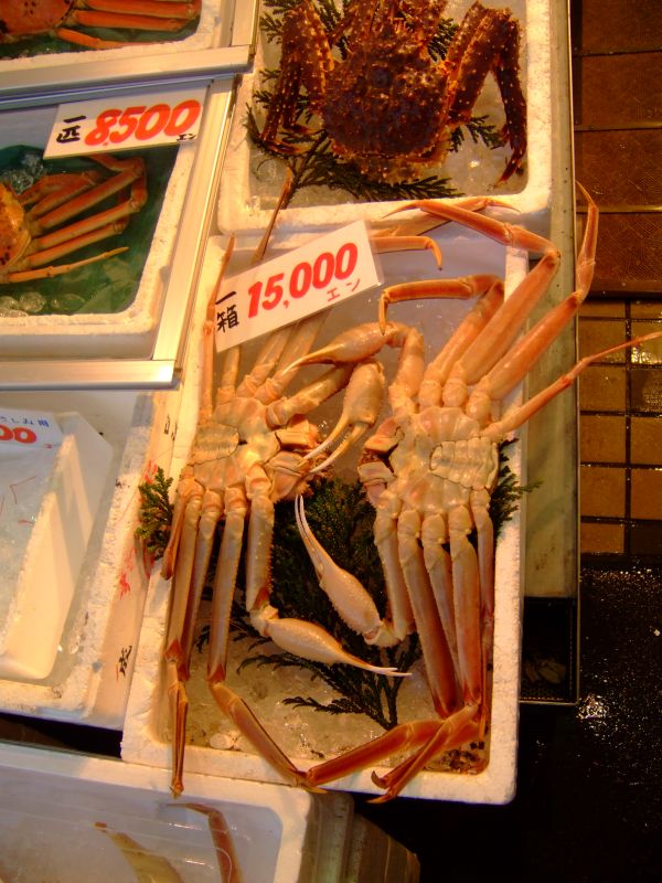 DSCF6523.JPG