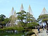 DSCF6502.JPG