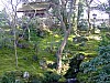 DSCF6505.JPG