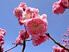 DSCF6507.JPG