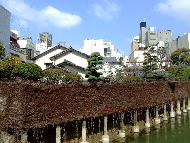 DSCF6650.JPG