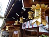 DSCF6608.JPG
