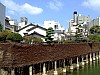 DSCF6650.JPG