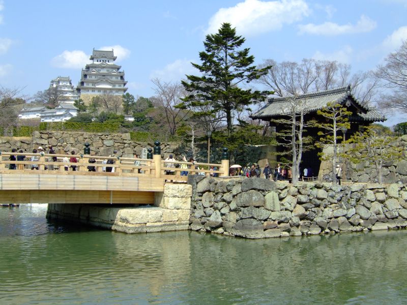 DSCF6855.JPG