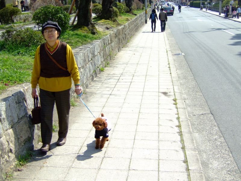 DSCF6898.JPG