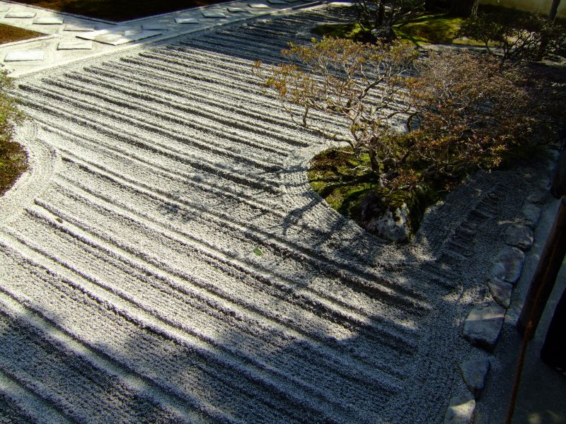 DSCF6903.JPG