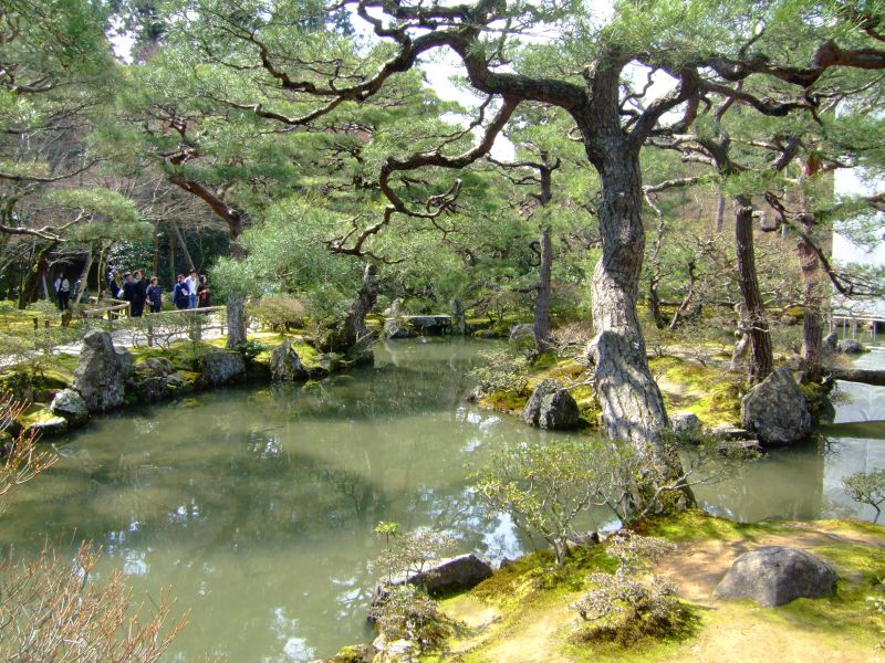 DSCF6912.JPG