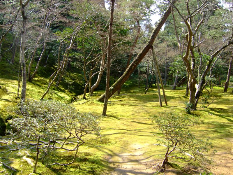 DSCF6915.JPG