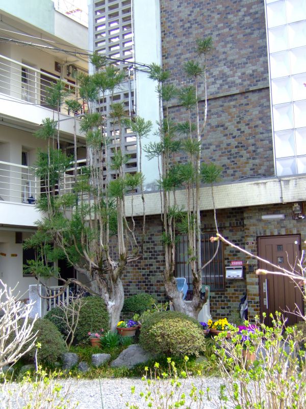 DSCF6928.JPG