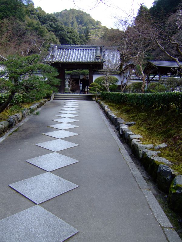 DSCF6945.JPG
