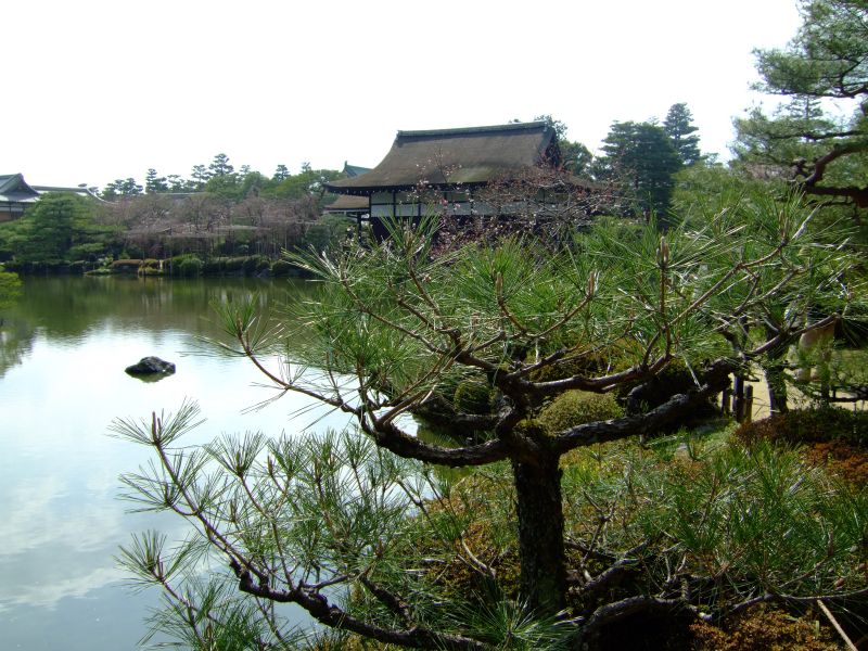 DSCF6963.JPG