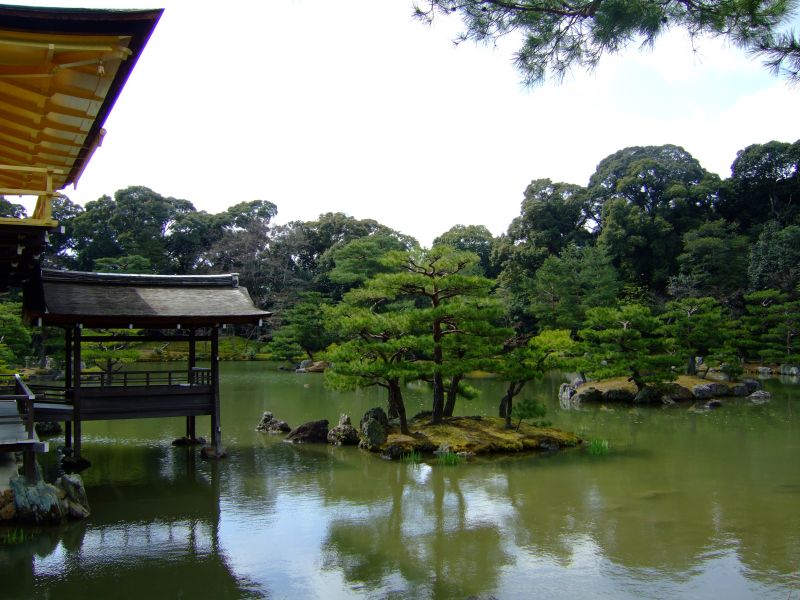DSCF6991.JPG