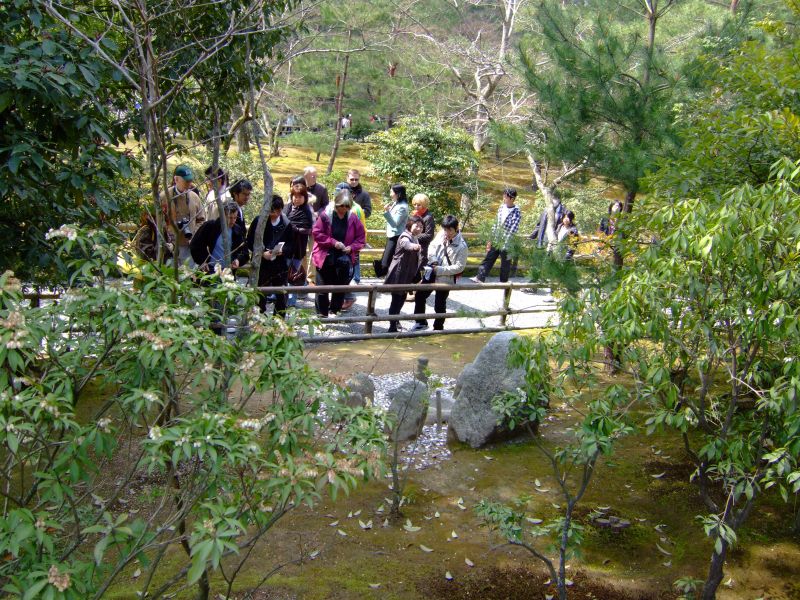 DSCF6994.JPG