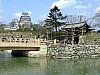 DSCF6855.JPG
