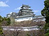 DSCF6860.JPG