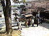 DSCF6870.JPG