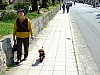 DSCF6898.JPG