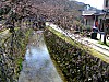 DSCF6901.JPG