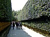 DSCF6902.JPG