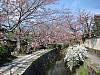 DSCF6937b.JPG