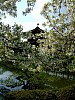DSCF6964.JPG