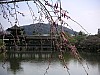 DSCF6993a.JPG