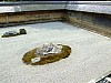 DSCF6999.JPG