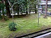 DSCF7002.JPG