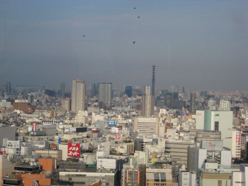 DSCF7007.JPG