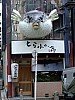 DSCF7052.JPG