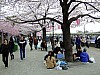 DSCF7116.JPG