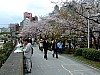 DSCF7123.JPG