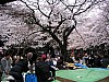 DSCF7123a.JPG