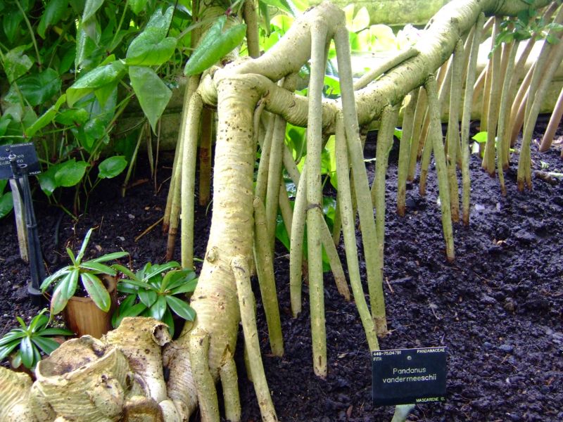 DSCF8259.JPG